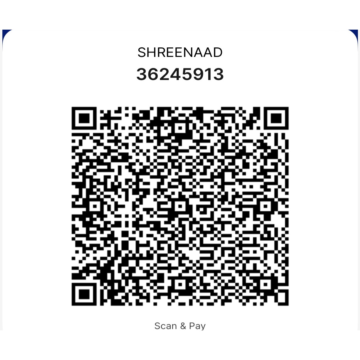 Shreenaad UPI Payment QR